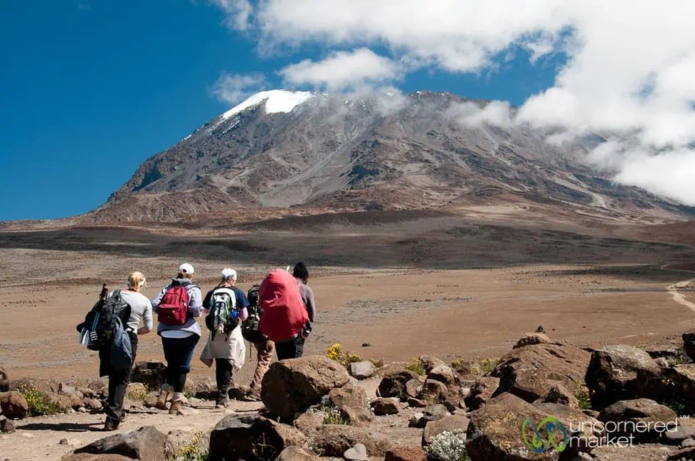 Climb Kilimanjaro