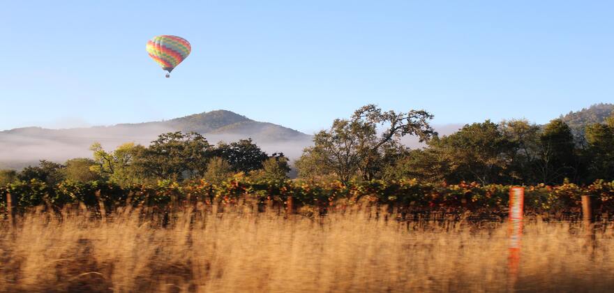 Napa