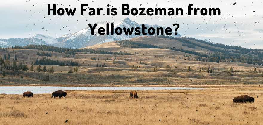 how far is bozeman from yellowstone